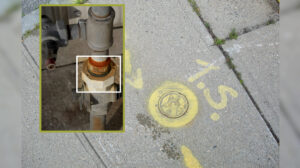 Figure 68