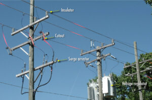 Figure 11