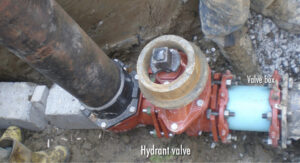 Figure 30